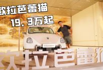 欧拉芭蕾猫上市 19.3万起 姐妹们准备好了吗？
