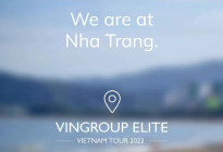 “越南本土版特斯拉”，VinFast国际化“野心”能成功吗?