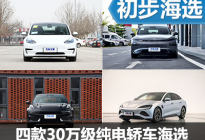 个个身怀绝技 四款30万级纯电轿车推荐