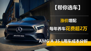 每年养车花费超2万 新款AMG A 35 L用车成本