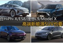 高合HiPhi X/ES8/理想L9/Model X怎么选？