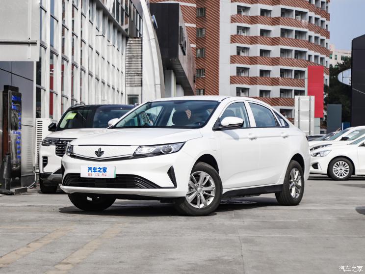 睿蓝汽车 枫叶60s 2023款 易行版 睿蓝汽车 枫叶60s 2023款 易行版