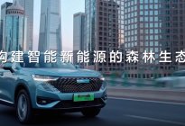 中国新能源汽车竞争格局重塑之年，长城汽车将如何排兵布阵？