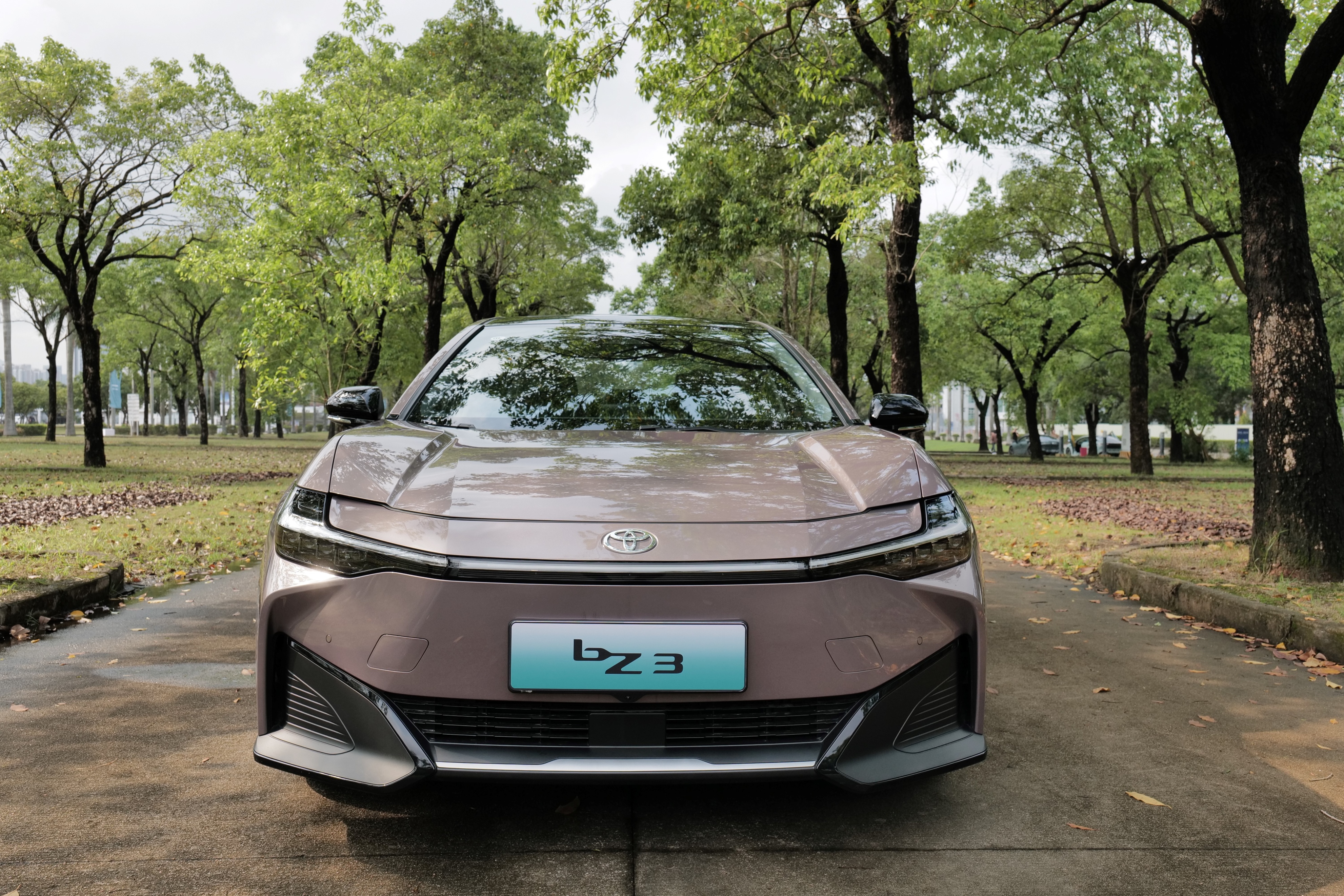 你看一汽丰田bz3可以这样玩全文- 买车网