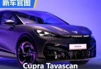 定位轿跑SUV Cupra Tavascan官图发布