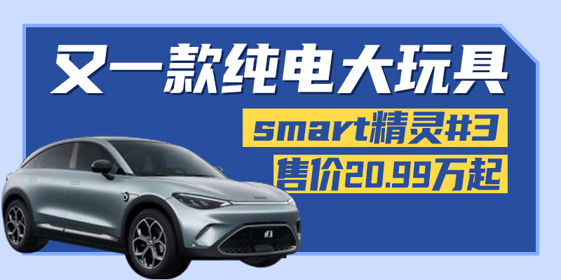 smart纯电动版中国上市图片