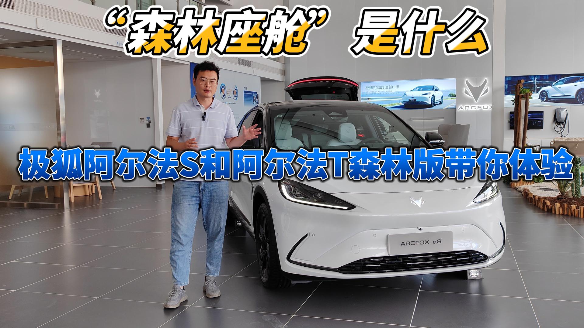 实拍极狐阿尔法S和阿尔法T森林版,将“森林”搬进了座舱- 买车网
