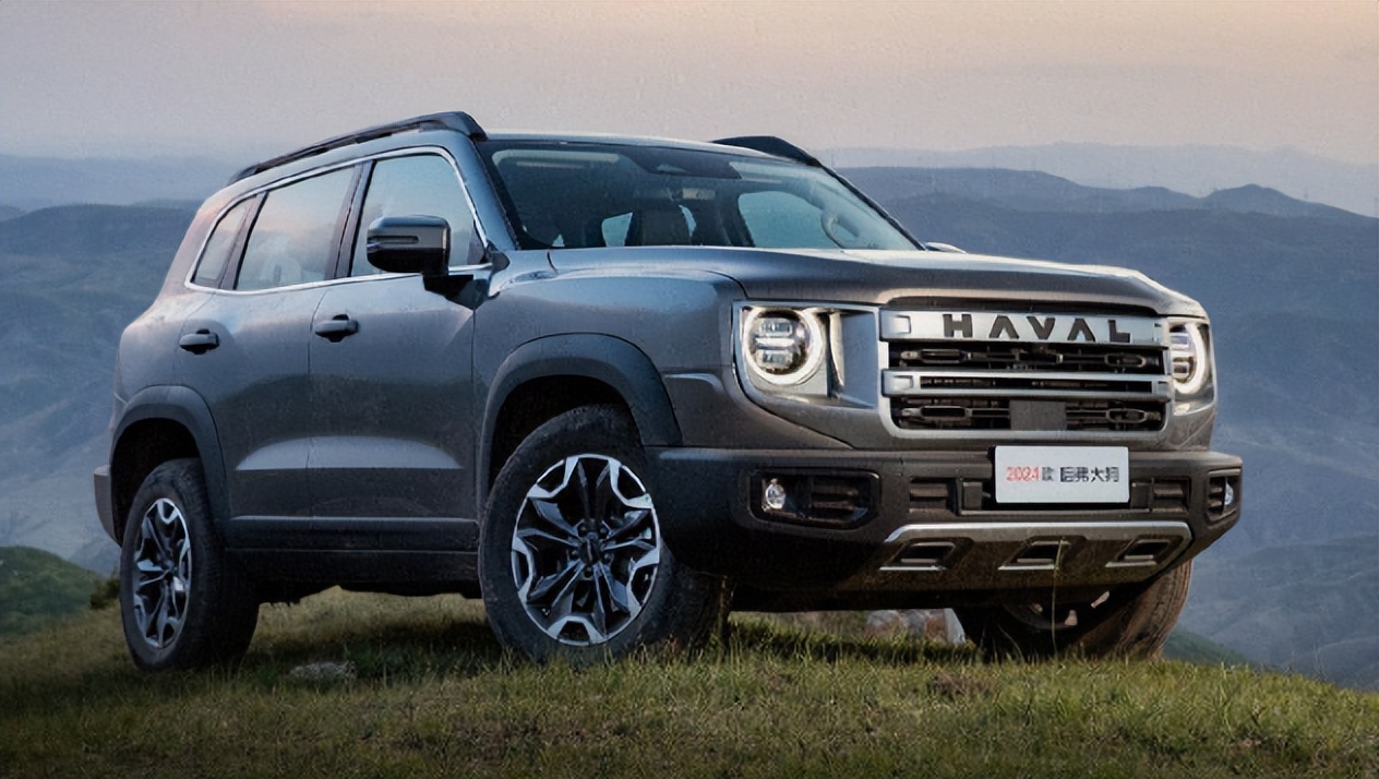 1239万元起售2024款哈弗大狗上市