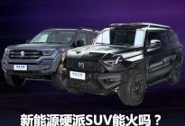 豹5/坦克400 新能源SUV集体玩硬派越野