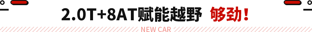 20万级最强越野！三把锁+三菱2.0T 堪称穿越王！