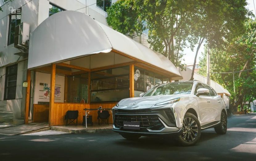 掌握车辆周边路况,不伤害路边的一花一木;即便是偶遇热情的猫猫狗狗