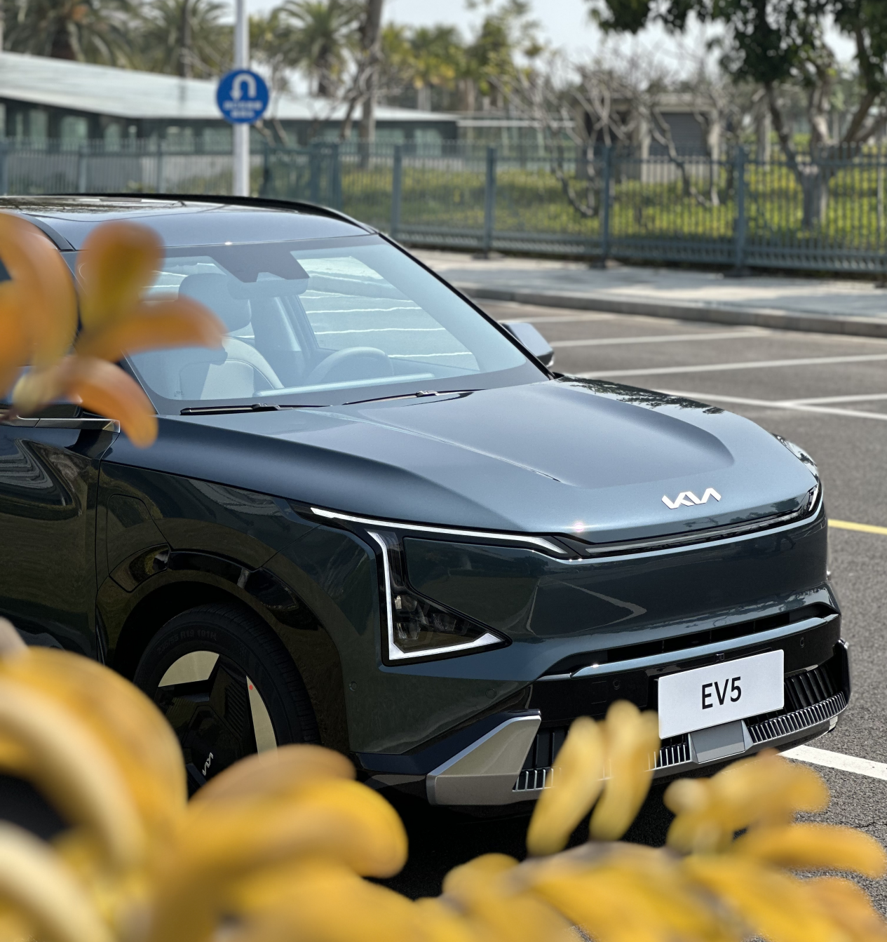 试驾官试驾起亚ev5实用至上的顾家男