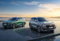 最低15.29万元起！2025款瑞虎9、瑞虎9 C-DM上市