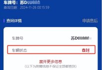 如何查询车辆当前状态是否正常？学会这个方法不用愁！
