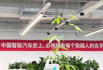极越“猝死”前的24小时