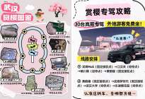 岚图知音护航武汉樱花季 “赏樱专驾”免费乘坐攻略送给你