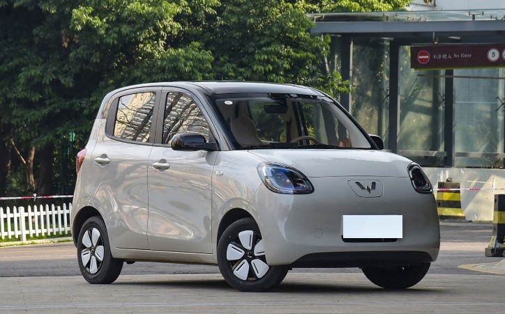 五菱宏光MINIEV四门版已提车，新任车主有很多话要说