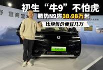 初生“牛9”不怕虎，腾势N9售38.98万起