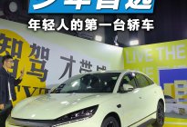 后驱+双球节麦弗逊+智驾！比亚迪秦L EV只要11.98万起