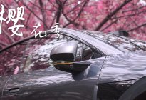 与极氪007一起，共赴春日樱花之约