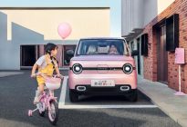 2025款熊猫mini元气熊上市 限时抢购价4.49万