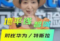 【江湖版】地平线 华为 特斯拉 智驾对比  各自优缺点？