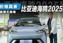 为什么说，跟智驾版相比，5万级的现款海鸥更香？