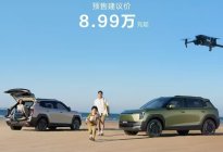 10万级纯电精品小车，东风纳米06