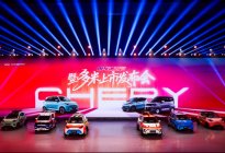 国风乐园掀起小车革命，奇瑞多米携小车家族重构5万级市场