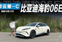 10w出头，后驱+云辇C+冷暖冰箱，海豹06EV到底有多卷？