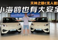 小海鸥也有大智慧，天神之眼C无人能敌！