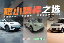 不止买菜遛娃，8万落地，星愿、海鸥、宏光MINI该怎么选？
