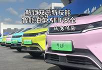 解锁双元新技能 见证智能泊车与AEB安全