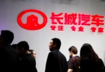短短一年从高速增长到销量下跌，坦克“颓靡”的速度让人意外？