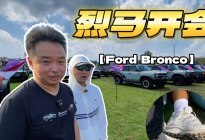 全中国最帅的烈马都在这了！咱们一起来看看！