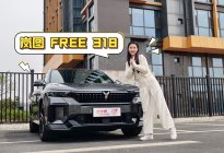 岚图FREE 318 重操控 又顾家