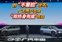 今年车厂最大诚意：电池自燃、智能泊车“双终身兜底”