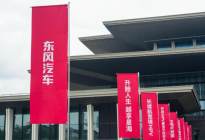 贴上多个标签，风行星海V9欲重构中大型MPV市场格局