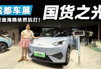 购车怕踩雷？那就先看看比亚迪海鸥！