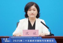 智联新世界 驾趣新生活，第二十五届武汉国际车展焕新启航