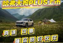 真诚、可靠、懂你的好伙伴 哈弗大狗PLUS上市