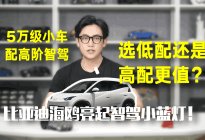 比亚迪海鸥亮起智驾小蓝灯!5万级配高阶智驾选低配还高配更值?