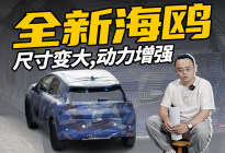 全新海鸥登场,尺寸变大,动力增强,还会加量不加价?