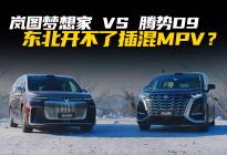 岚图梦想家vs腾势D9谁才是寒冬自驾最优解？