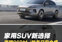 家用SUV新优选 海狮06 DM-i 的冬日安全感