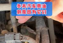冬天汽车费油的原因终于找到了，就是它们引起的！