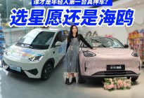 年轻人首台纯电，选星愿还是海鸥？