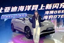 比亚迪海狮06EV、海豹07EV来了，到底应该怎么选？