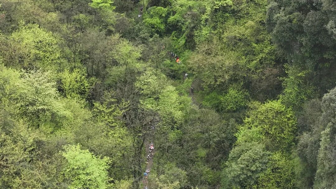 纵横股份“天空之眼”护航熊猫蜀道山超级越野赛