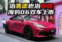 比亚迪海豹06双车上市：一个治焦虑，一个治纠结